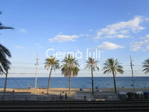Pis – Badalona