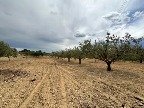 Finca rústica en Rambla Azud
