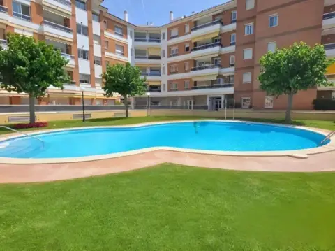 Piso en calle Pintor Manel Coll I Rodríguez