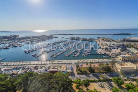 Piso en Avenida del Doctor Gadea