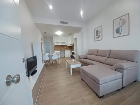 Piso en Paseo de los Castaños