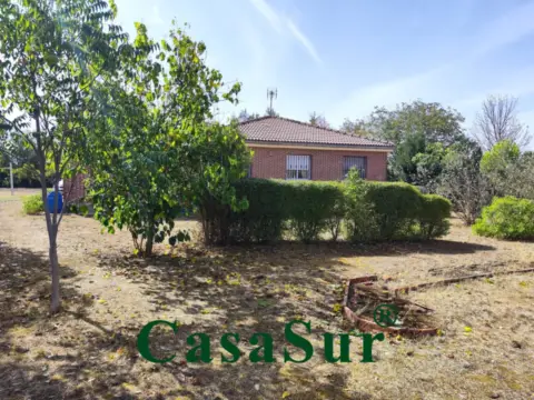 Chalet en Urb. Viñas Viejas