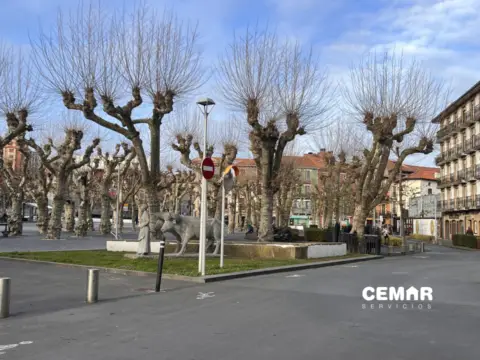 Local comercial en calle Peñas de Aya