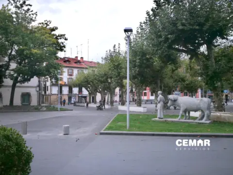 Local comercial en calle Peñas de Aya