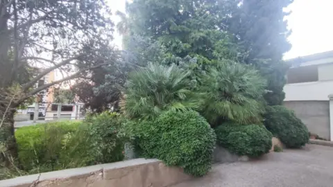 Piso en calle Callizo Santa Ana