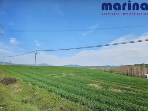 Terreno en Sector Belanbutzu, 1