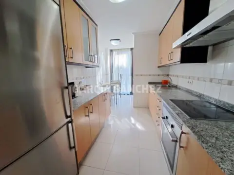Piso en Avenida de la Constitución
