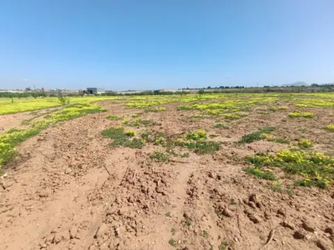 Terreno en calle Gorgias