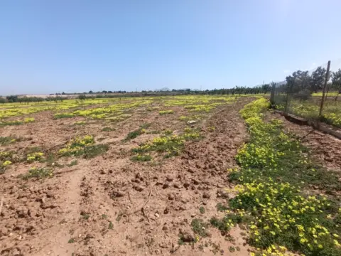 Terreno en calle Gorgias