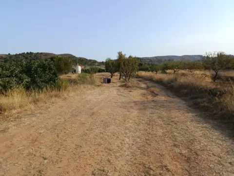Terreno en calle los Balanzas, nº 1