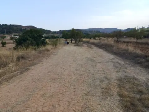 Terreno en calle los Balanzas, nº 1