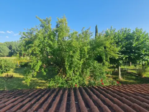 Chalet unifamiliar en calle de la Margarita, 134