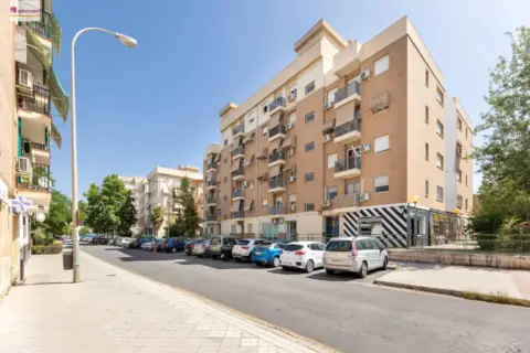 Piso en calle Friburgo