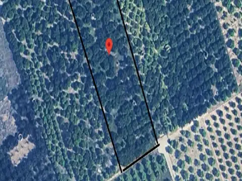 Finca rústica en Polígono Numero 51