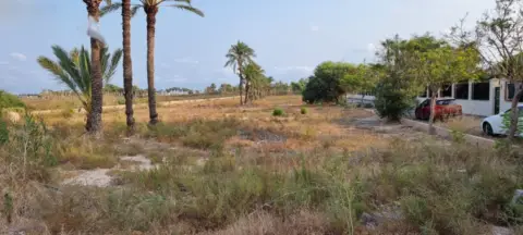 Finca rústica en Torrellano-Valverde-Parc Empresarial