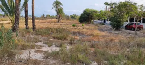 Finca rústica en Torrellano-Valverde-Parc Empresarial