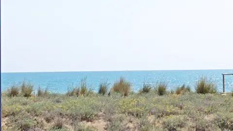 Apartamento en Avenida del Papa Luna