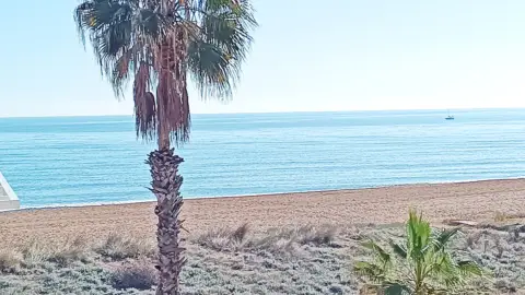 Apartamento en Avenida del Papa Luna