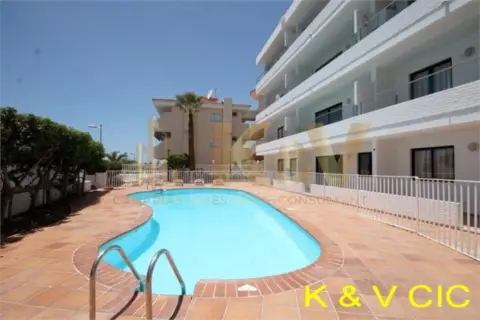 Apartamento en calle Apto San Agustín 2 Dormitorios Vistas Al Mar