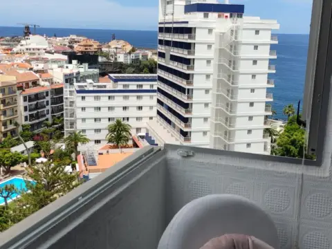 Estudio en Avenida Familia Betancourt y Molina, 1