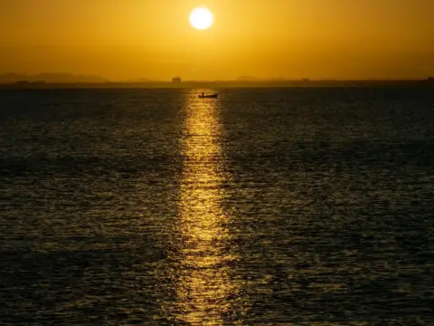 Chalet en Avenida Gran Vía