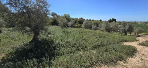 Terreno en Vía Guixeres
