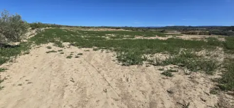 Terreno en Camino Collroig