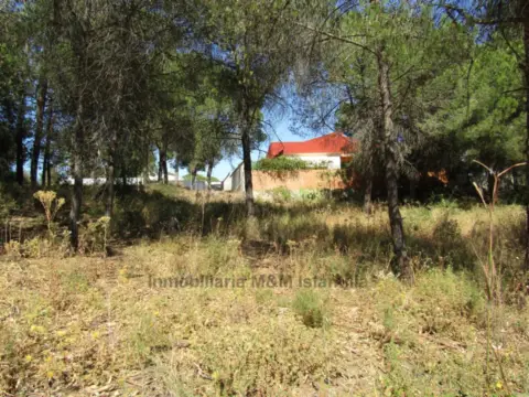Terreno en Urbanización de Pinar de la Bota