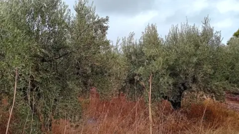 Chalet rústico en Pasaje La Chepa