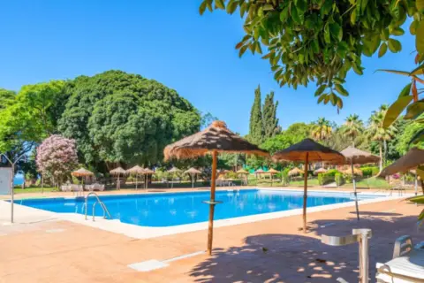 Estudio en Arroyo de la Miel