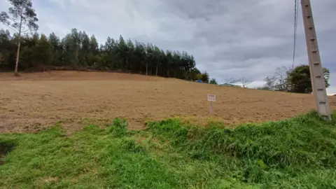Terreno en El Monte (Logrezana)