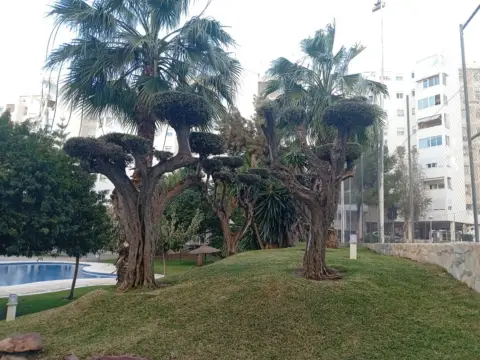 Piso en calle de México