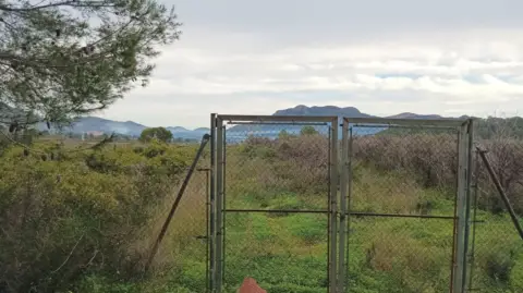 Finca rústica en Palma de Gandia