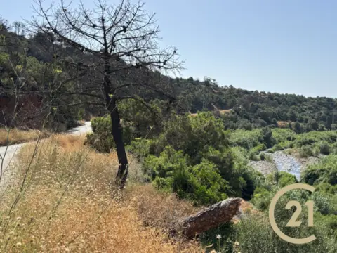 Terreno en calle Huertos del Padron