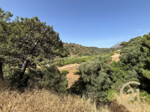Terreno en calle Huertos del Padron