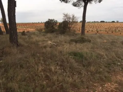 Terreno en Camino Mozas, nº 1