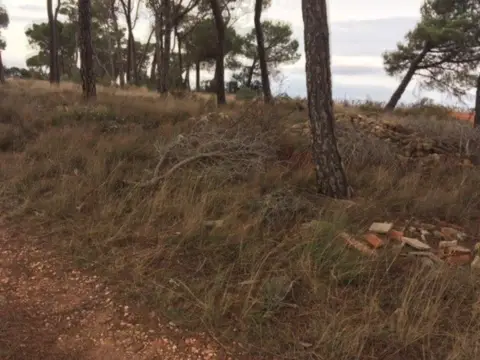 Terreno en Camino Mozas, nº 1