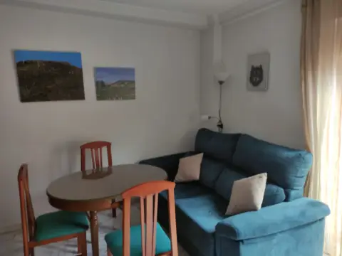 Apartamento en calle Miguel Castillejo