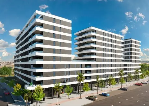 Ático en Avenida de José Rodríguez de la Borbolla Camoyán,  s/n