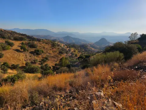 Terreno en Polígono 32