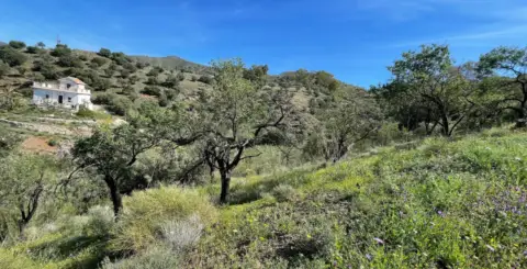 Terreno en Camino Barcenilla Alta