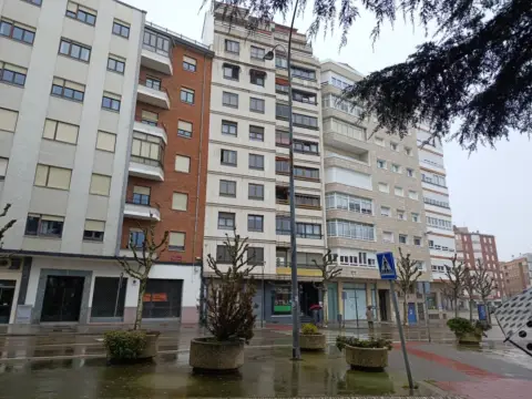 Piso en Avenida de la Facultad de Veterinaria