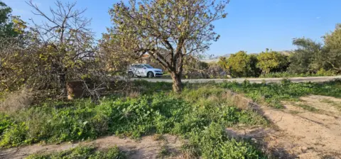 Casa en La Ñorica