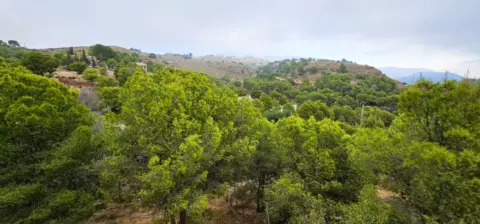 Chalet unifamiliar en Aledo