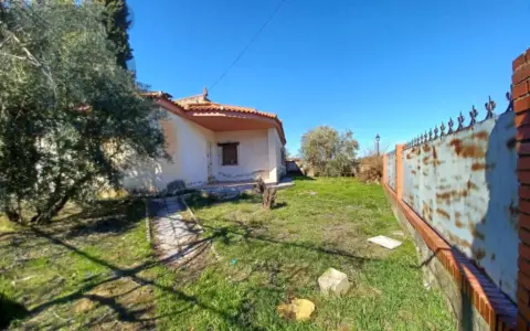 Chalet en calle Concepción Arenal