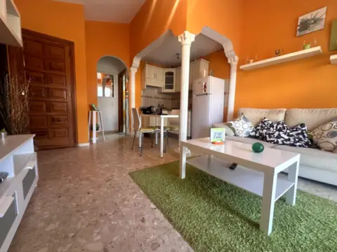 Apartamento en Avenida Ángela Ascanio Cullen