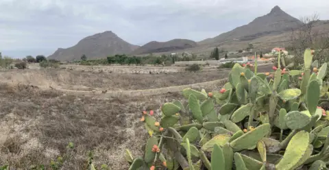 Terreno en Camino Real de Altavista