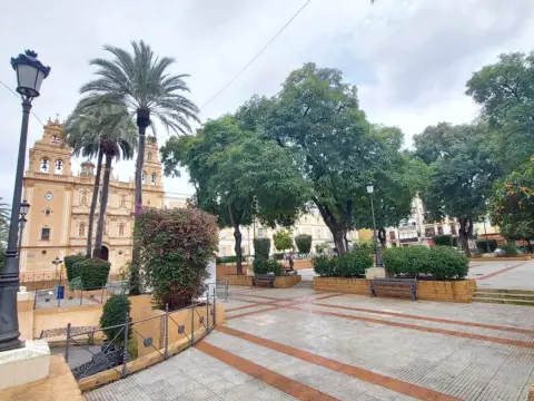 Local comercial en Centro