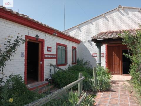 House in Centro