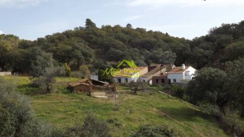 Rural Property in Las Cefiñas
